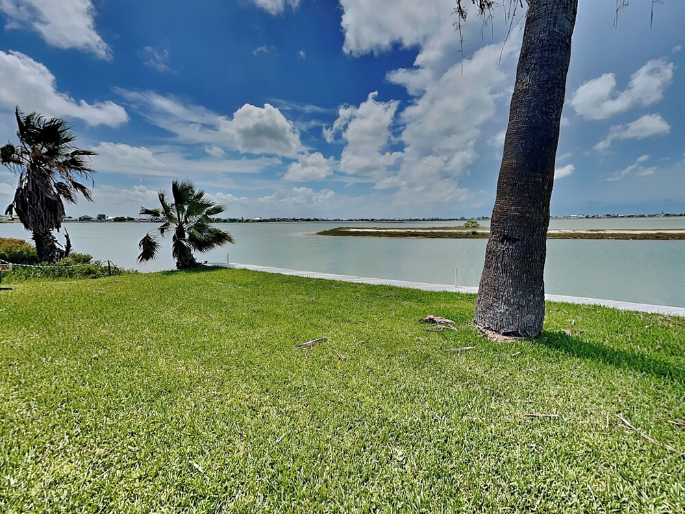 7 Palms by Miss Kitty’s