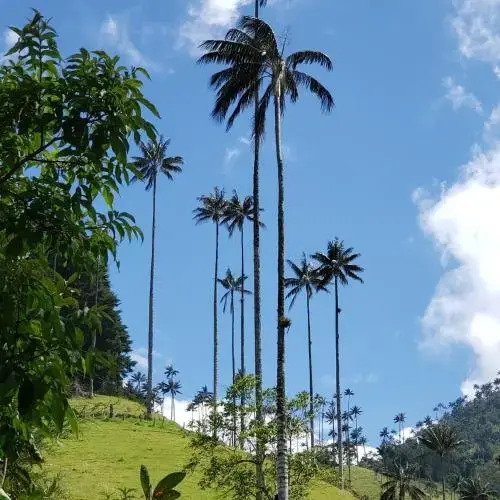 Casa Mochila