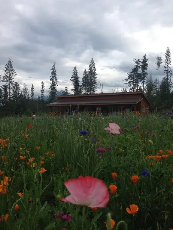 Willow Ranch
