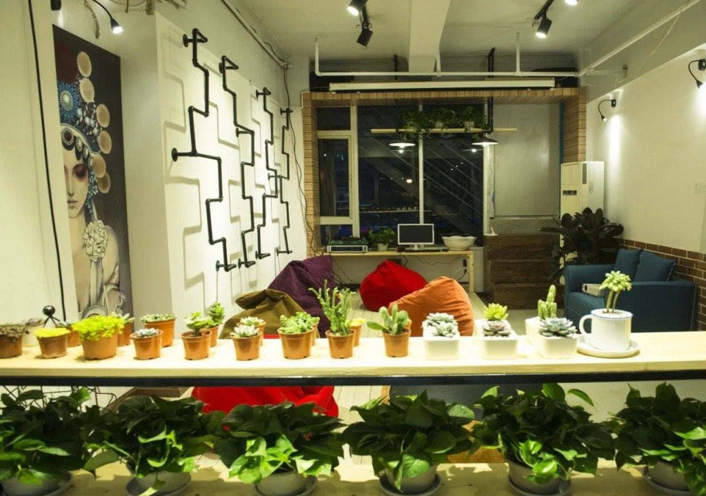 Chengdu Habitat Youth Hostel
