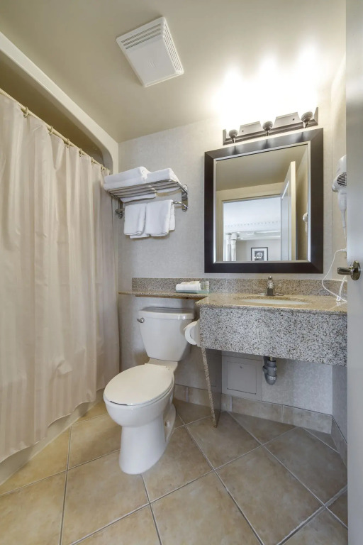 Monte Carlo Inn & Suites Downtown Markham