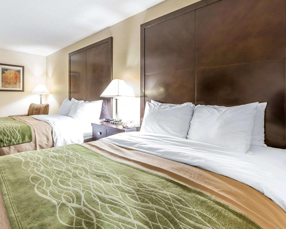 Quality Inn & Suites Portsmouth