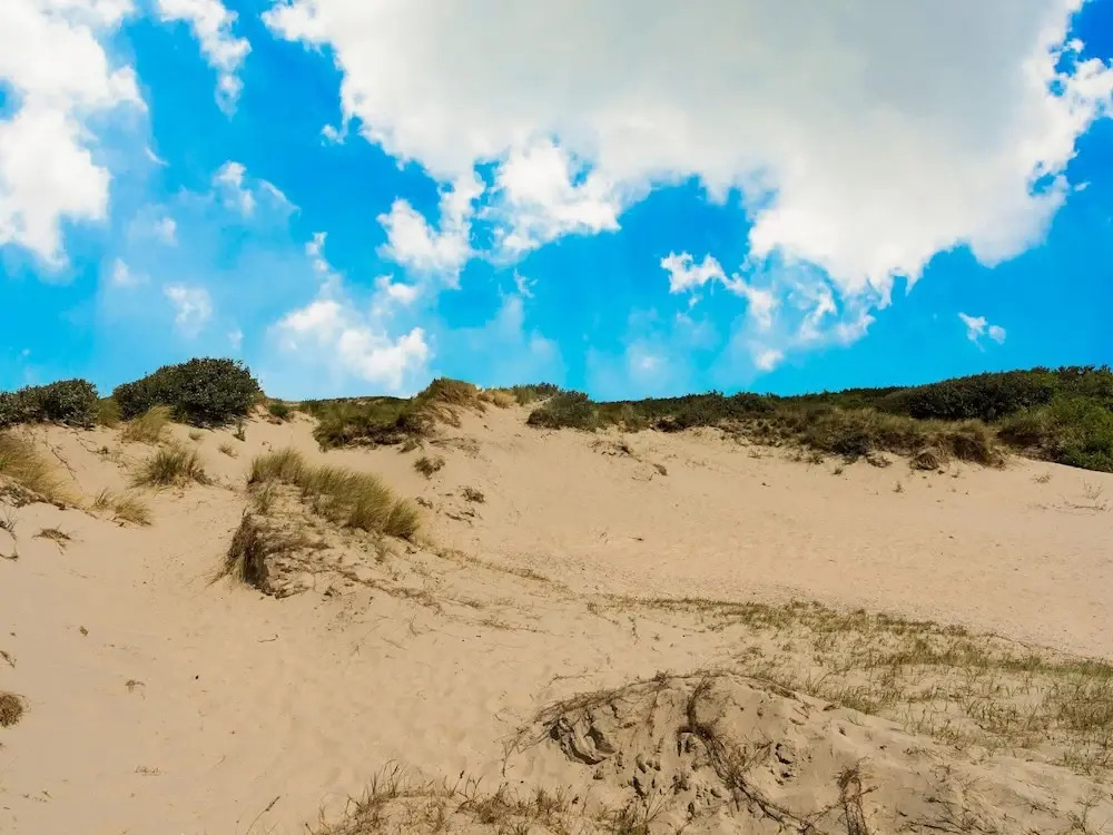 Elegant Holiday Home in Middelkerke Near the Beach