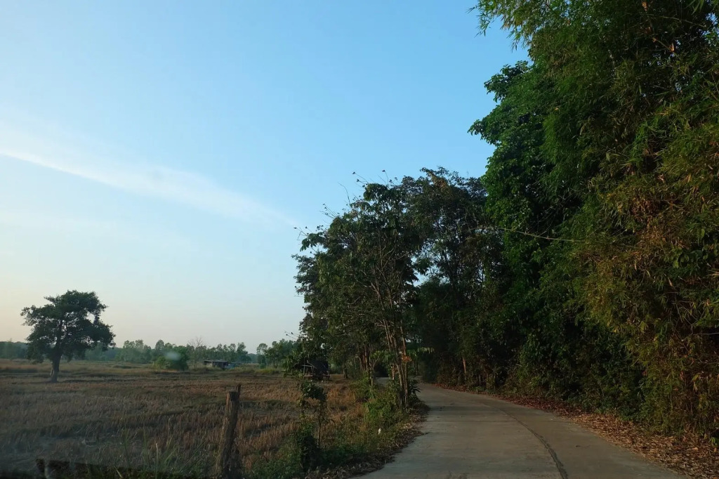 Plern Resort