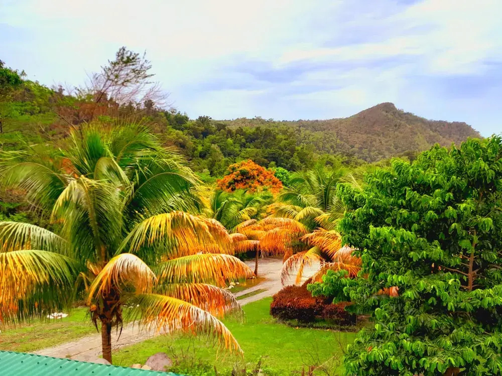 Pinard's Mountain Resort - Cottage 5