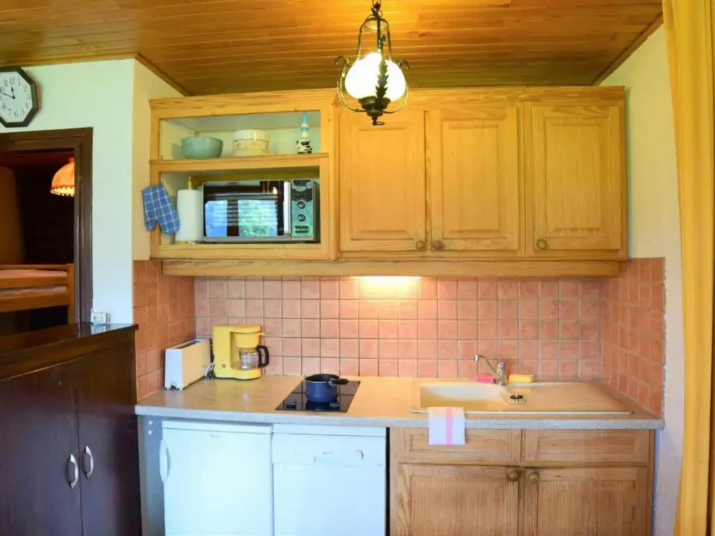 Appartement Les Deux Alpes, 1 pièce, 4 personnes - FR-1-516-47