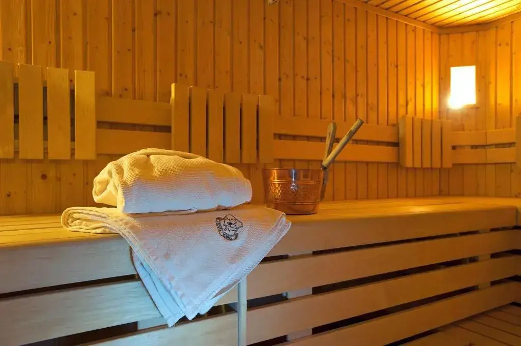 Hotel Vedig