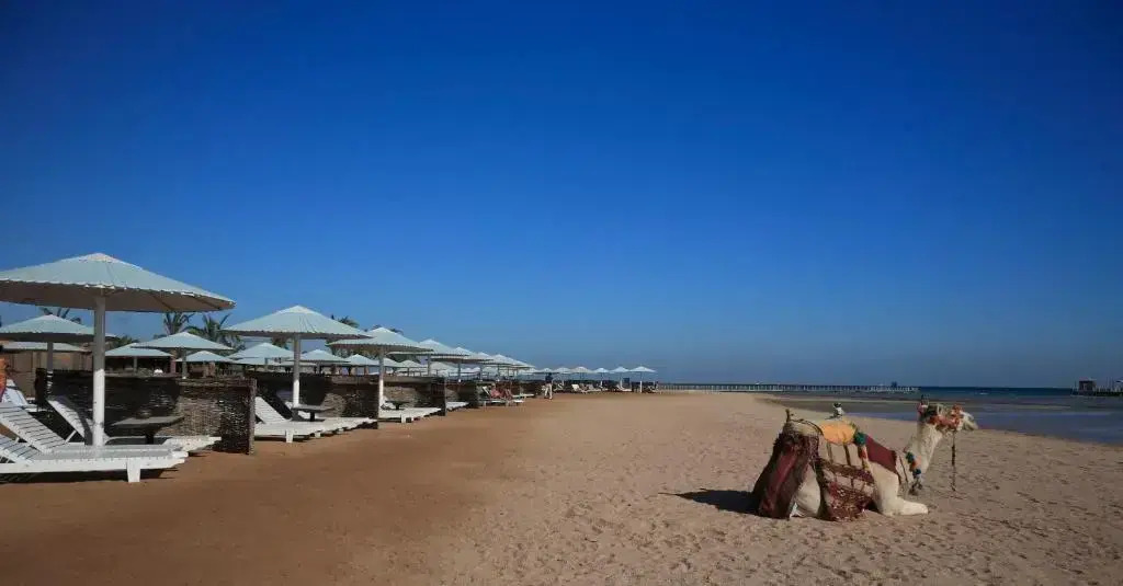 Pharaoh Azur Resort