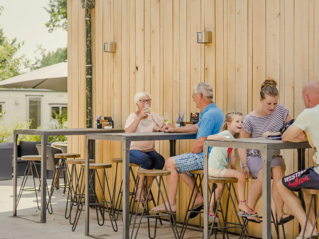Beautiful wooden tree house with terrace in a holiday park on the river De Regge