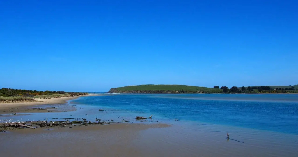 Surat Bay Lodge, Motel and Backpackers