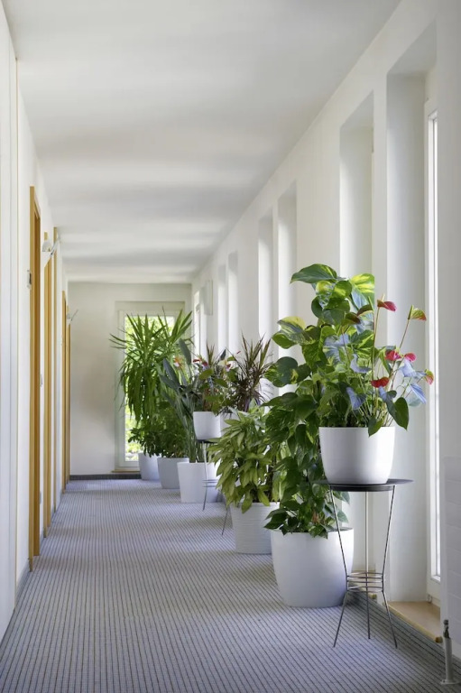 Hotel MaMa