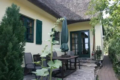 Schilfdachvilla Zeesboothaus WE308