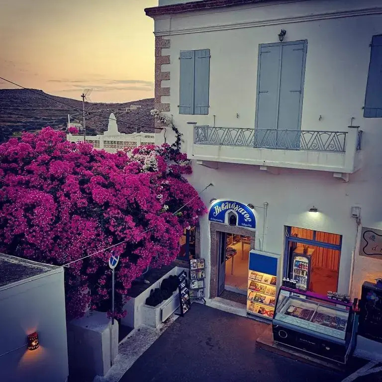 The large bougainvillea house