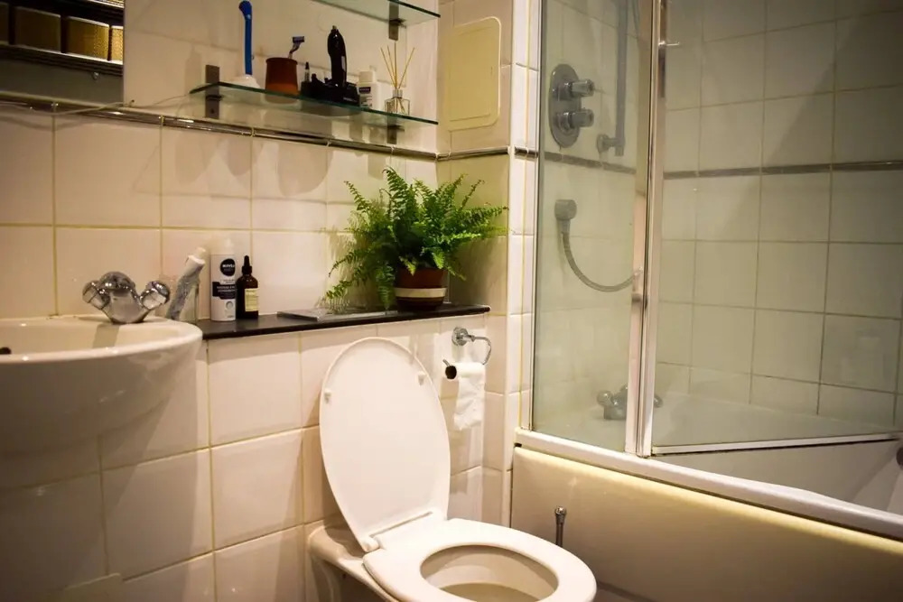 1 Bedroom Clapton Flat With Balcony