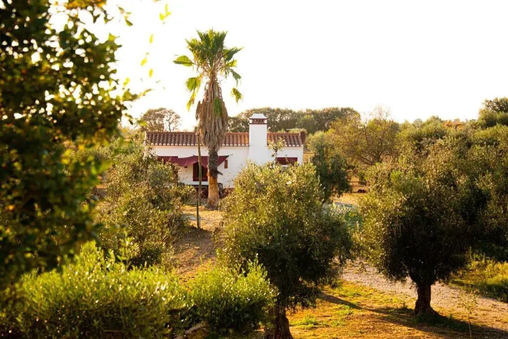 Monte Da Coelha AL