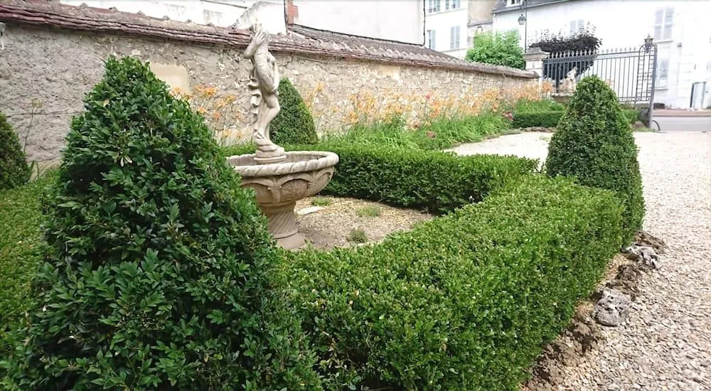 Vieille France