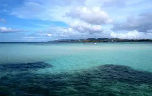 The Nest Tobago Apartments