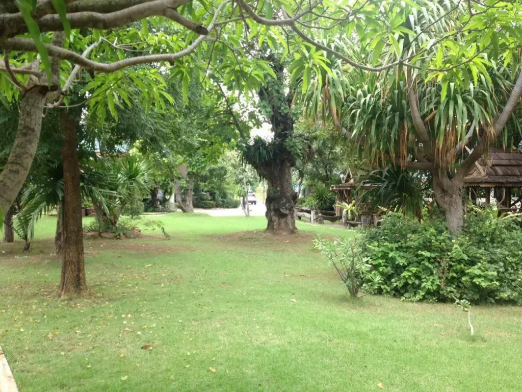 Green View Resort
