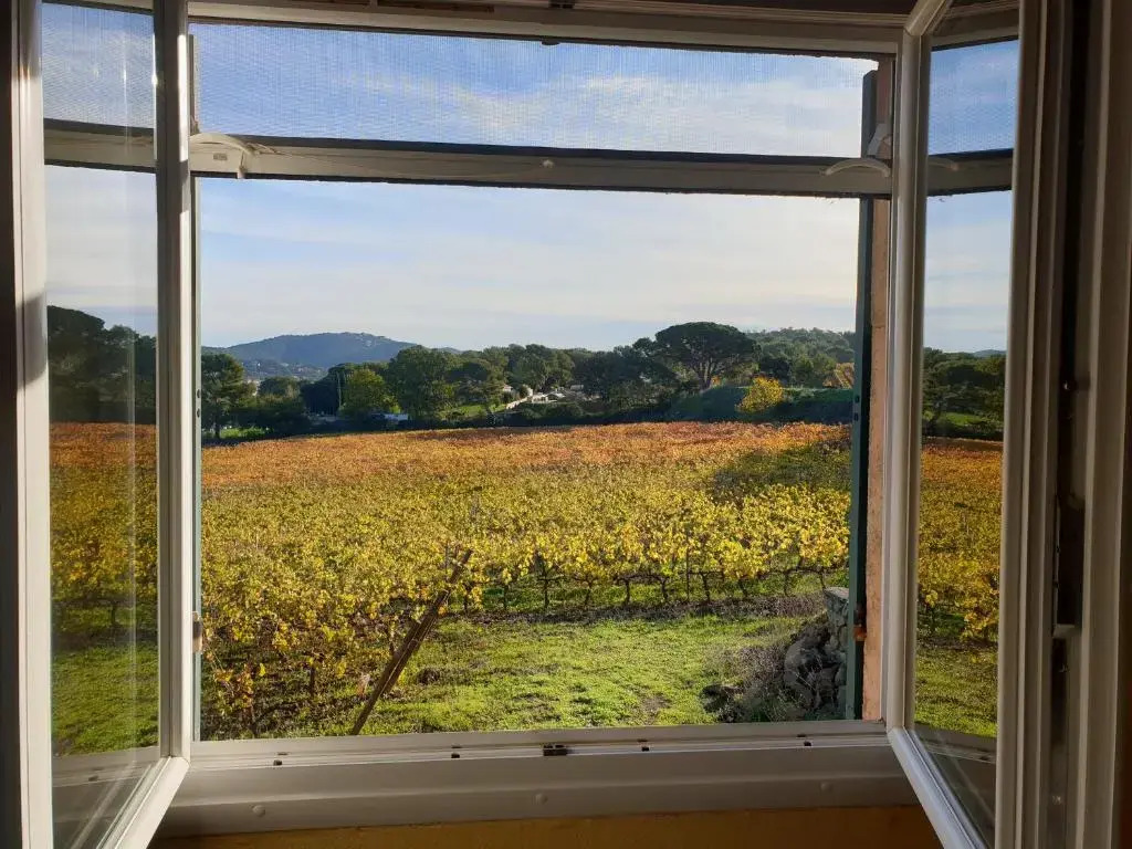 Domaine de la Navicelle