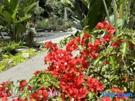 Anyue Mountain & Sea Seasons Holiday Hotel