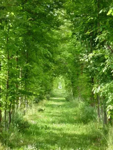 Agriturismo Ca Marcello