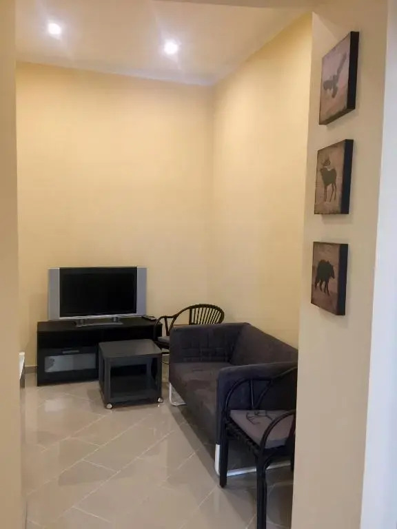 Entire luxury apartment in the city center