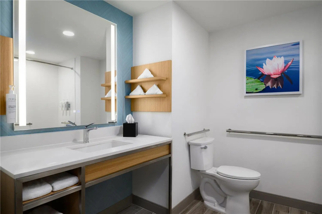 Hilton Garden Inn Orlando I-4 Millenia Blvd Mall