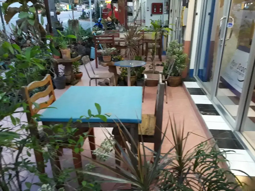 Pearl Beach Holiday Apartments