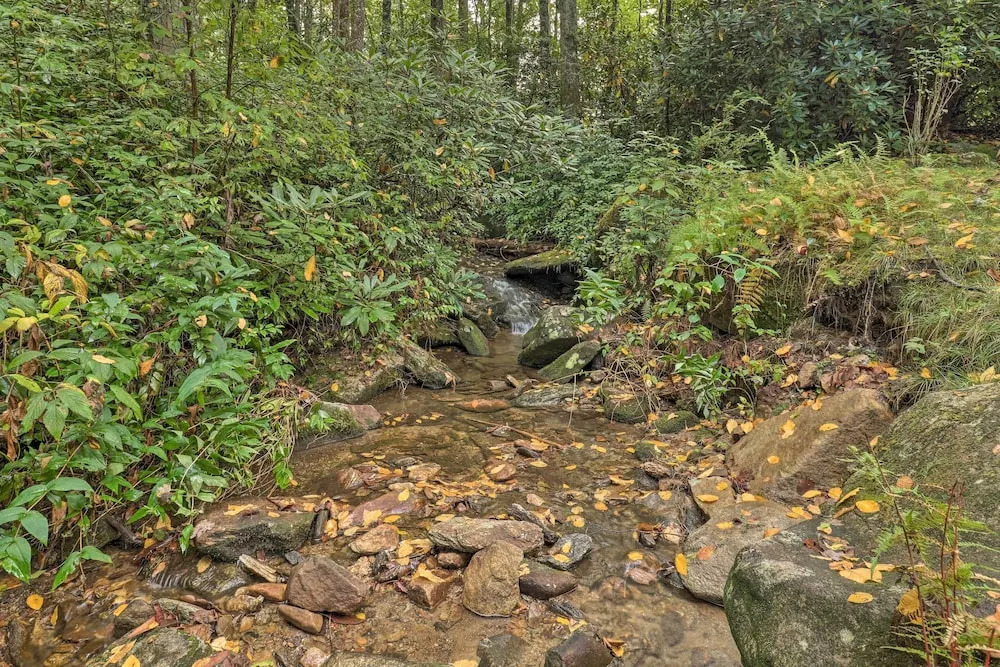 Creekside Family Retreat by Waterfalls & Hiking!