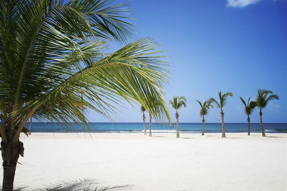 Xeliter Costa del Sol