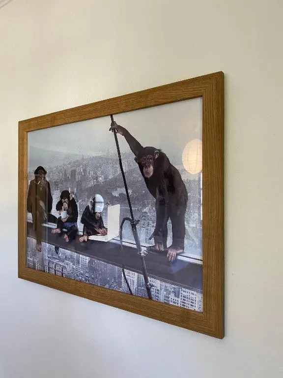 Ferienwohnung „Monkeybox“