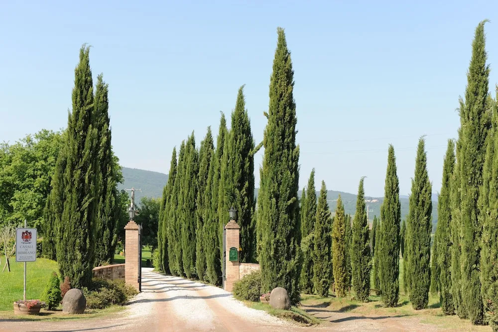 Casali di Bibbiano