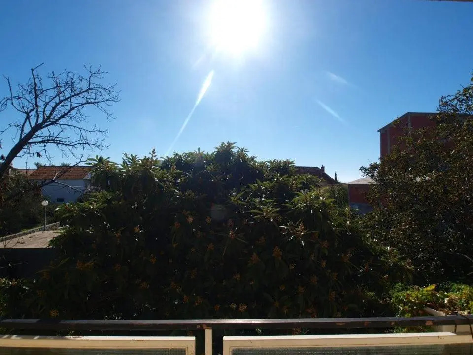 Guest house Brodarica
