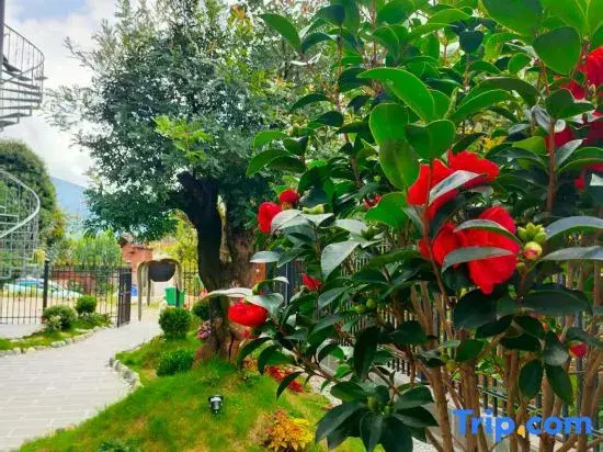 Nanhuaju Homestay