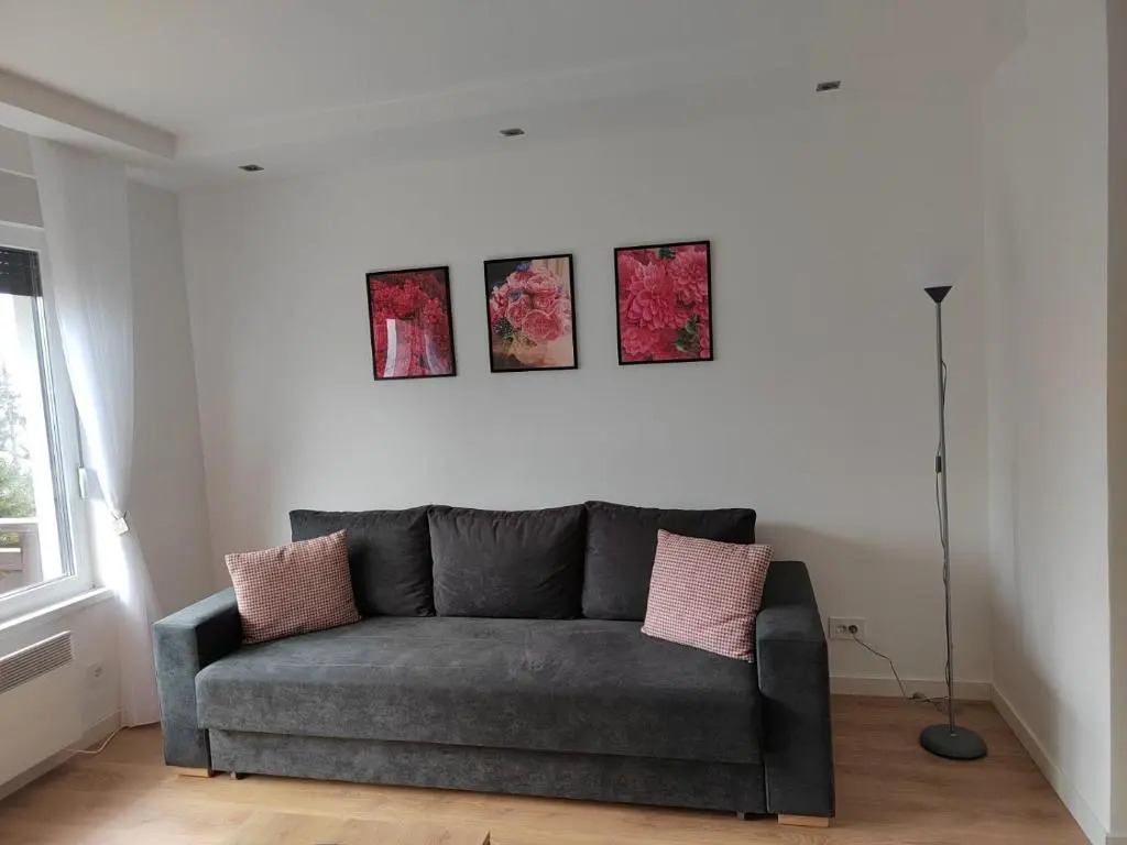 Apartmani Šišarka
