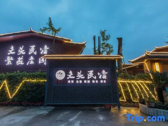 Wentou Homestay · Ziwei Manor (Dujiangyan Station Sunac Land)