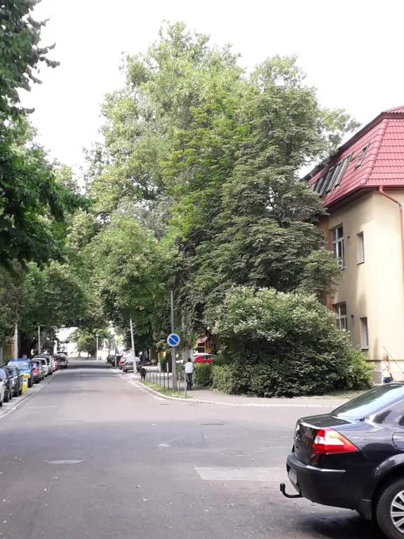 Kodály Apartman