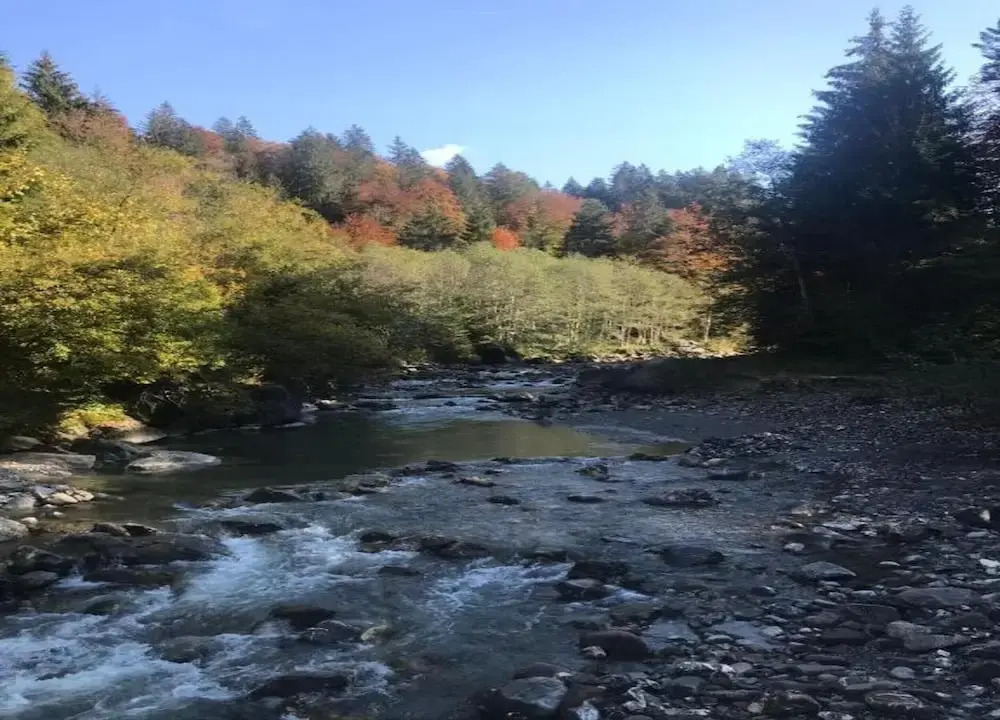 Apartment in Damuls Near Hiking Trails