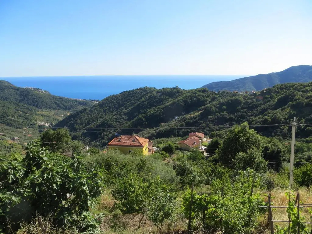 La Casa Gialla