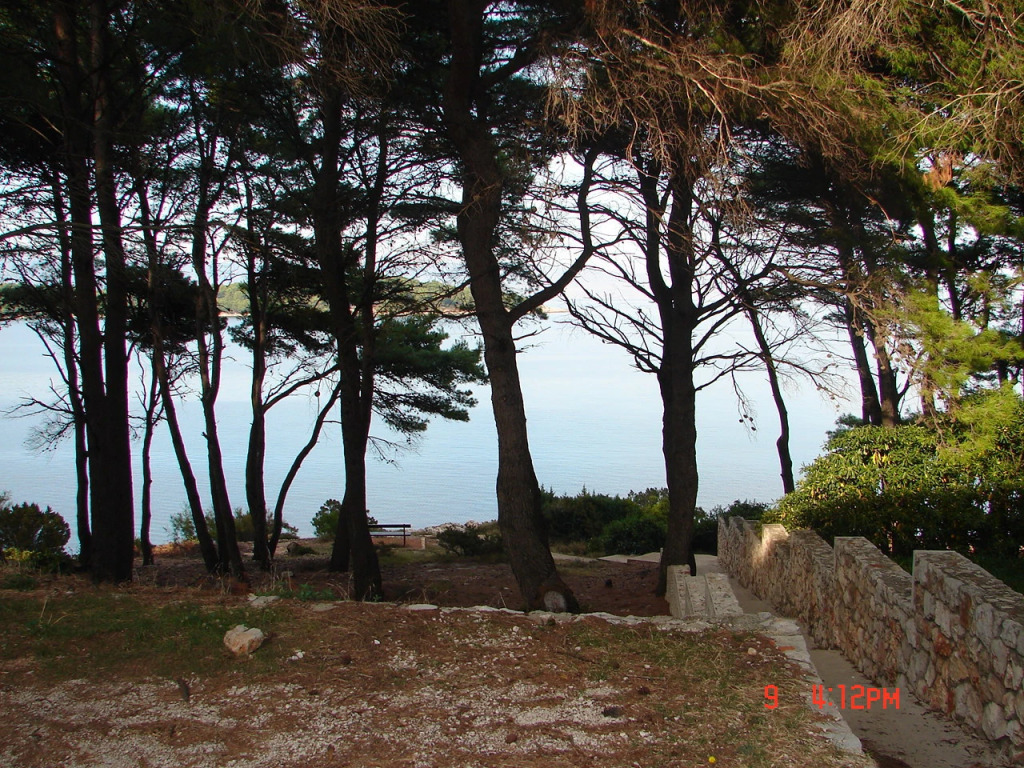 Apartment Matkov - quite and peaceful location: A2 Jelsa, Island Hvar