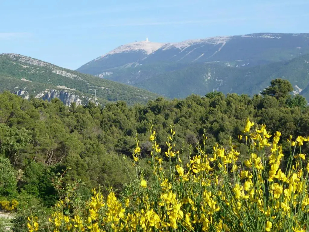 Le Rourebeau