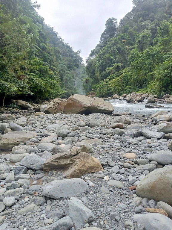 Lucky Bamboo-Bukit Lawang-Bungalows-Restaurant,Direct On The Jungle Border and Jungle Trekking Tours