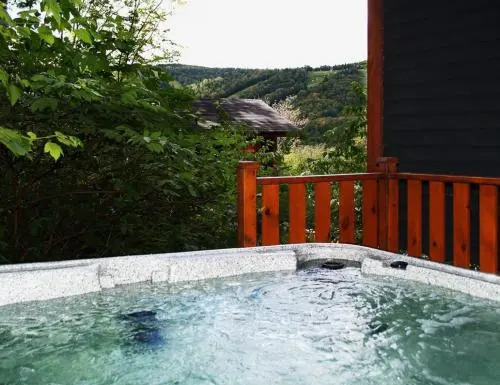 Chalet- 10 Chemin Alpin
