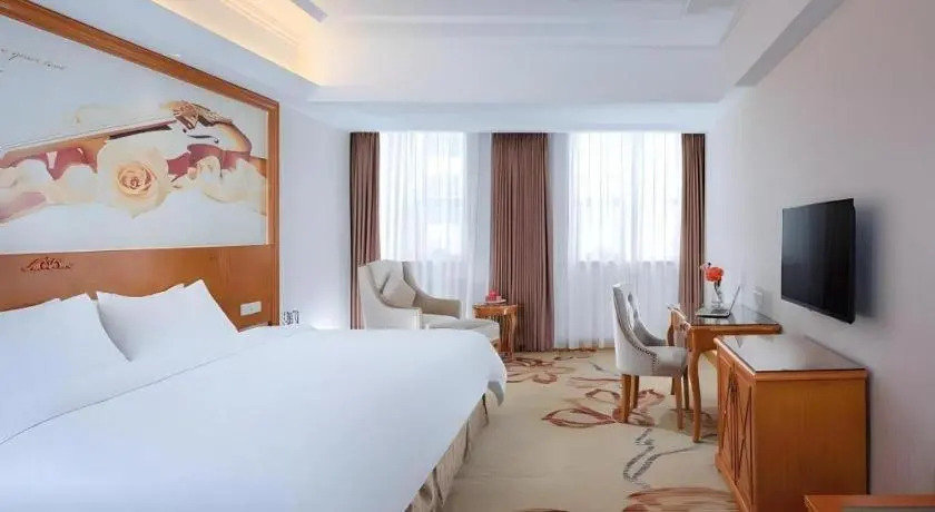 Vienna International Hotel (Dongguan Mayong Central Avenue)