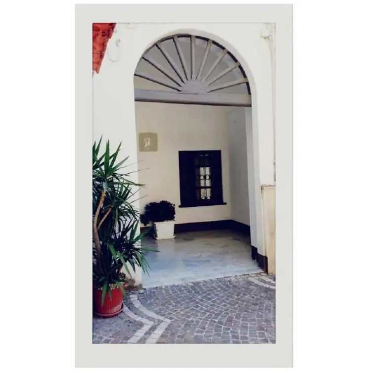 Il Volo del Gabbiano