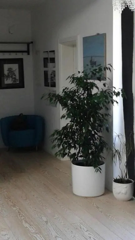 Penthouse Apartment