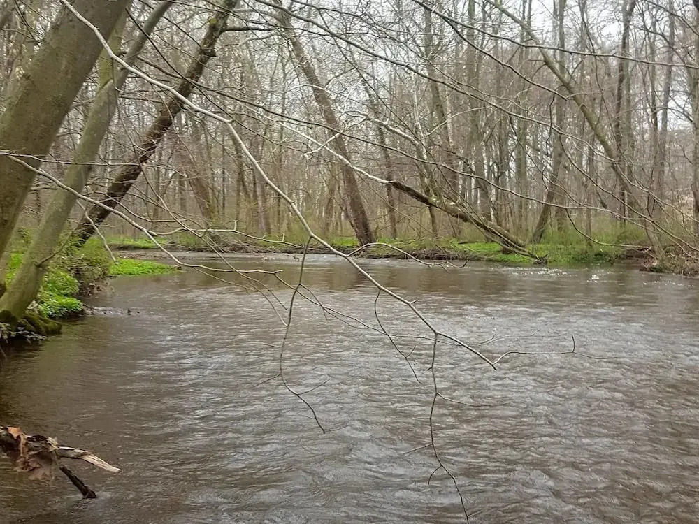 Tentrr - Creekside Woods Getaway