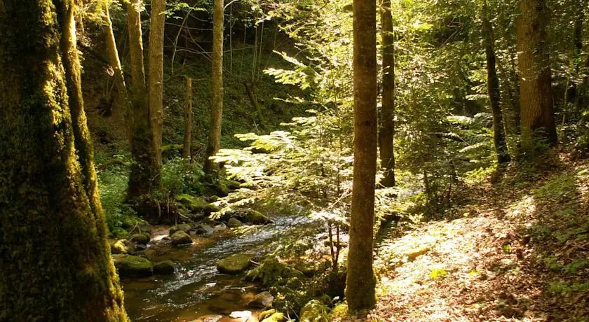 Les Charbonnières en Livradois
