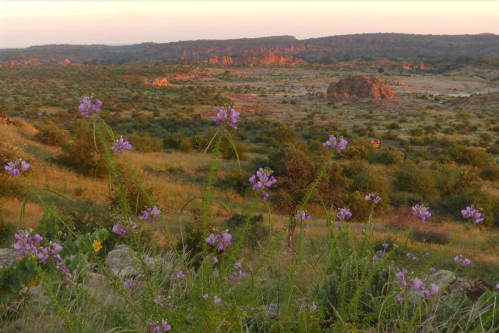 Tuli Safari Lodge Mashatu