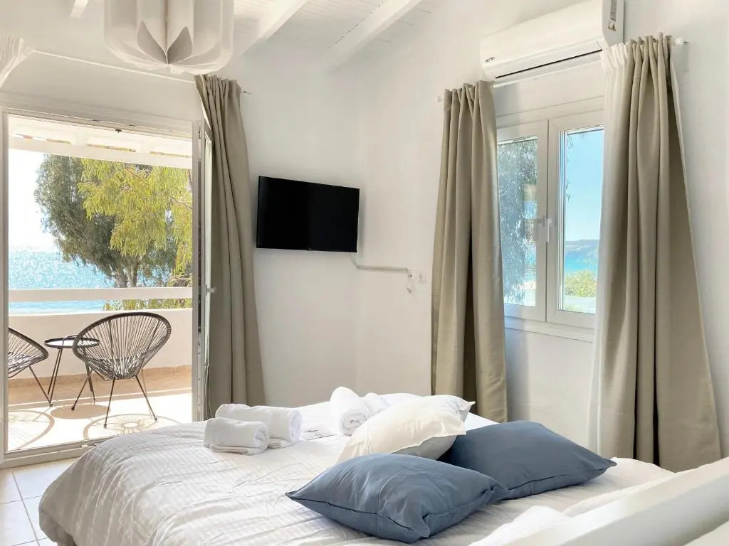 Palm Suite Blue